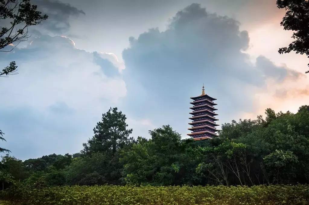 临沂平邑旅游景点大全，临沂平邑必游景点全集