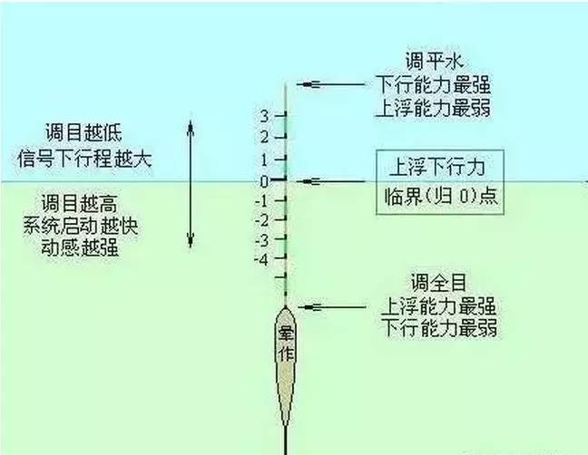 调目与钓目的关系