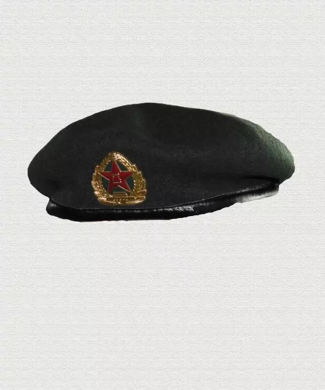 【涨姿势】看各国军队的英伦风:贝雷帽