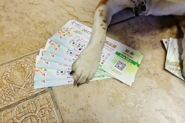 福利丨我有一张华南宠物展门票要送你来不来？