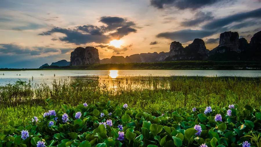 毛塘湿地