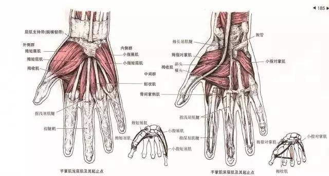 打网球的你该如何养护手腕?附力量与柔韧性训练方法