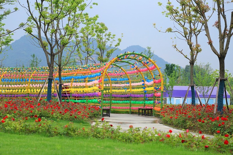 福利 | 智慧花乐园明天正式开园，植物迷宫等你来~-搜狐旅游