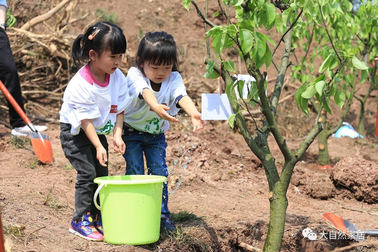 "种树大王"佘学彬:蜀道何难?