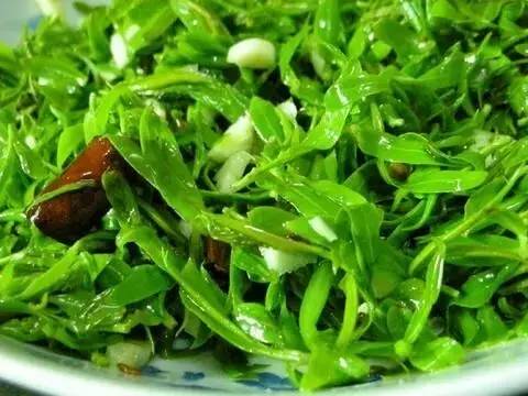 开春后就吃它，一种野菜治一种病！年轻十岁！