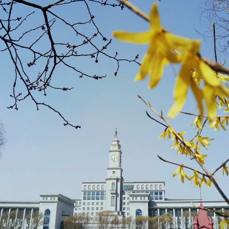 哈师大毕业季 我们总是在毕业的时候 才突然真正爱上学校