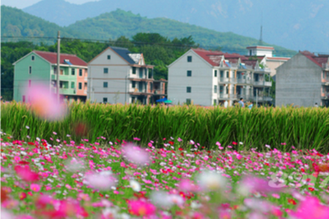 茶陵人口数_2019湖南公务员报名人数 株洲1326人报考,最热职位104 1 截至21日9时(2)