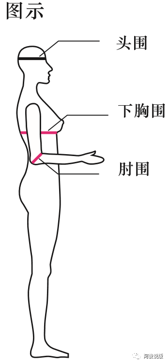 上臂围:被测者直立,手臂自然下垂,在腋窝下部测量上臂最粗部位的水平