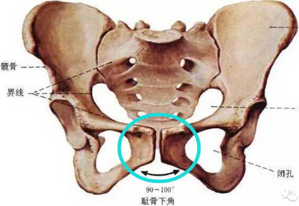 怀孕8个月耻骨疼怎么办