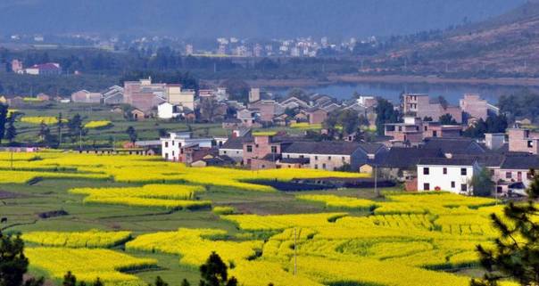 吉安市永新县