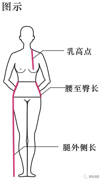 腕围:被测者手臂自然下垂,测量腕骨部位围长.