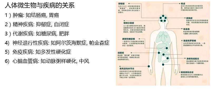 李达康书记:要像重视gdp一样重视人体微生物组的发展