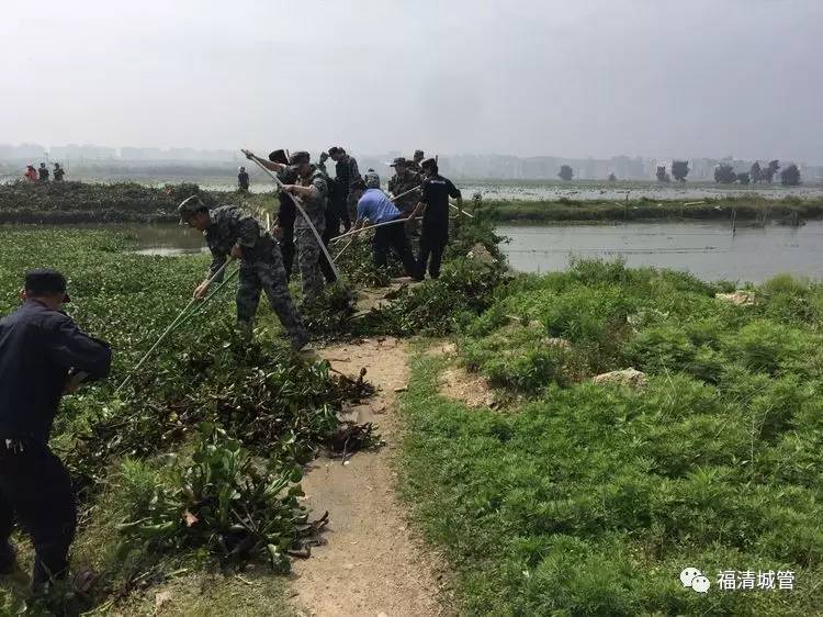 清朝人口猛增的积极影响_积极向上的图片(2)