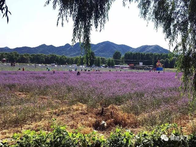 怀柔—黄花城水长城—四海4 2活动招募