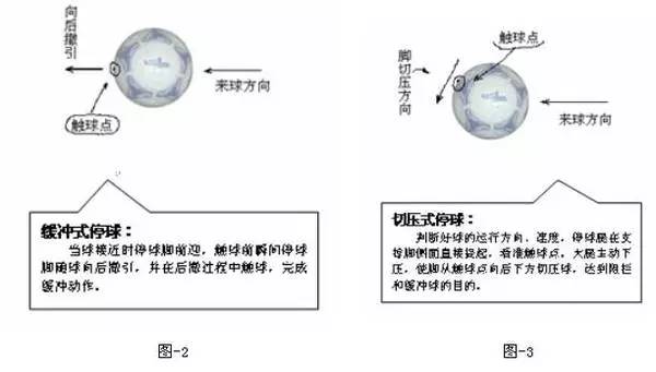 足球基本技术讲解及重难点与纠错(大全)