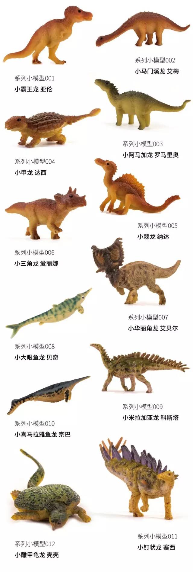 别具一格且极具艺术感的小恐龙模型,每一只小恐龙都有自己的专属名字