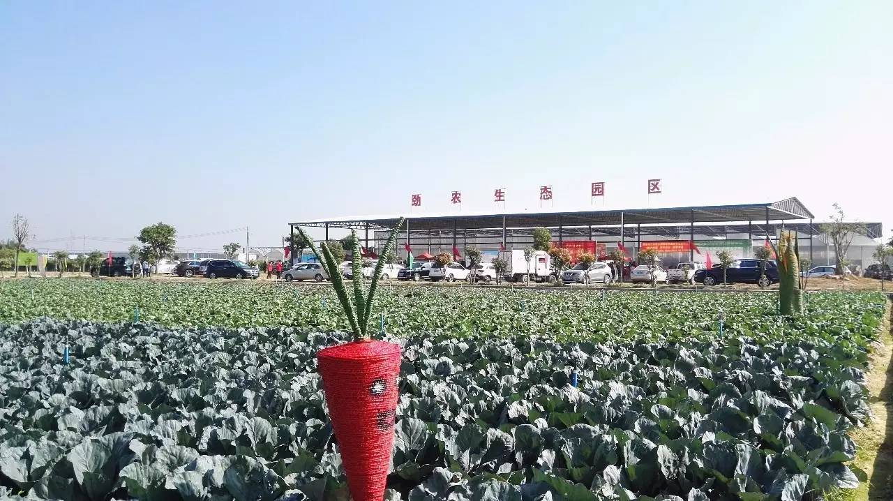 藏宝图:佛山市三水区大塘农业园(导航:澳农蔬菜种植有限公司 ) 评分