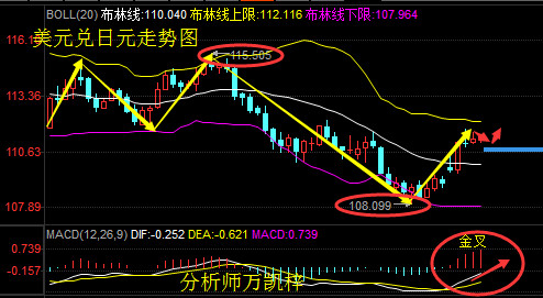 投50gdp