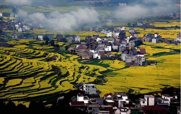 莲花县被列为江西省油茶生产基地县,江西省重点林业县,全国重点产煤县图片