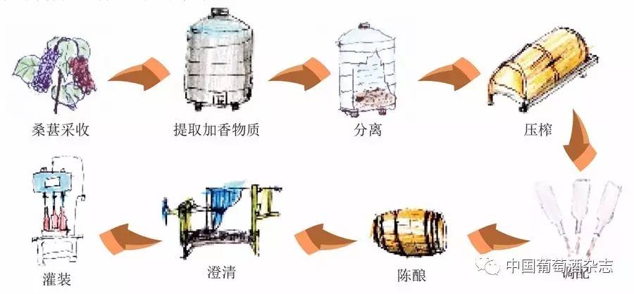 提取加香物质 采用浸提法,将分选好的桑葚放入不锈钢罐中,同时加入