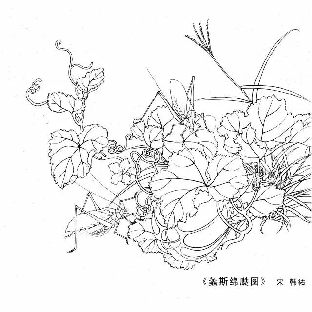 宋代花鸟小品白描图稿,美!