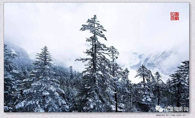 雪雾海螺沟