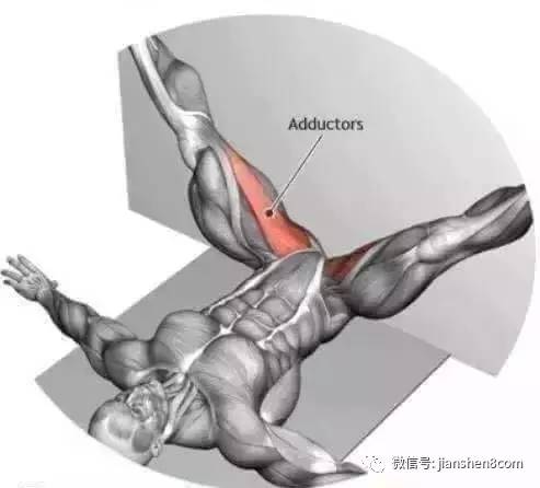 身肌肉拉伸方法,教科书版教程!,背部肌肉拉伸动