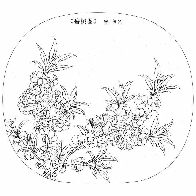 宋代花鸟小品白描图稿,美!