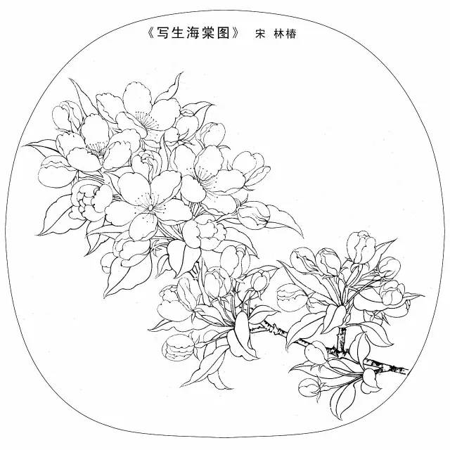 宋代花鸟小品白描图稿,美!