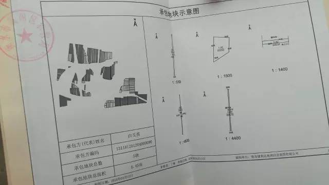 还有 承包地块示意图,防伪标志,安全条↓↓↓