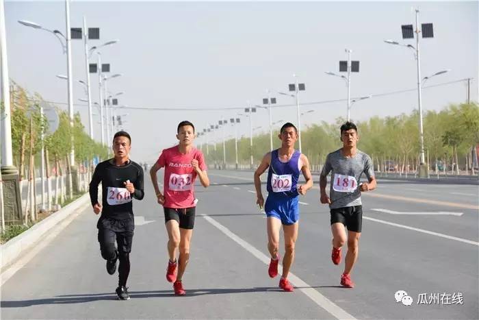 1950年瓜州人口_瓜州大地之子图片