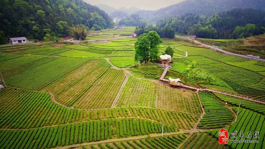 航拍咸丰不得了咸丰黄金洞即又将新增一处美丽乡村旅游景点