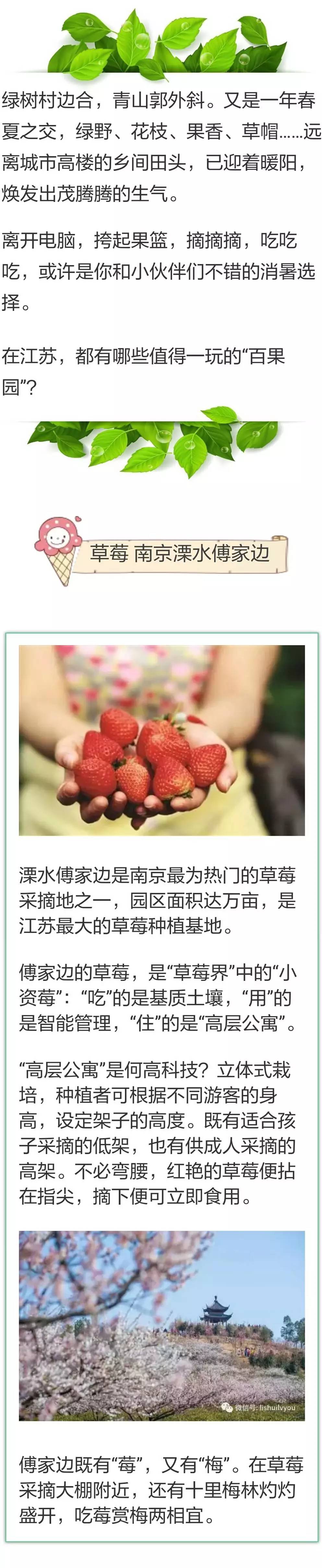 美食丨绿野瓜果香！省内春夏“水果摘”地图，拿走不谢！