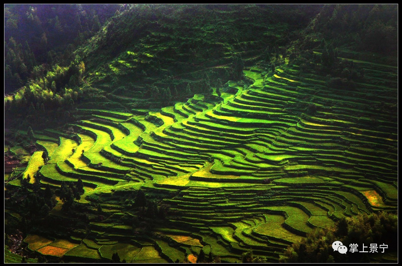 雾溪畲族乡人口_雾溪畲族乡坪阳岗民俗文化村景点碑文-江南畲族风情文化村(3)