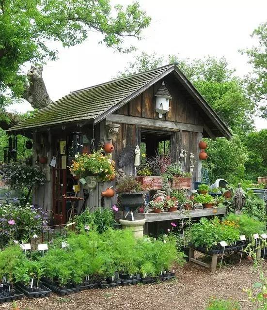 院子里的小小屋,藏着大大的幸福感