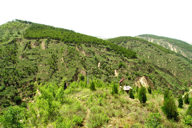 黄土丘陵沟壑区山地果园集流高效利用技术研究