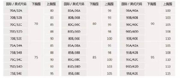 内衣的尺码是怎样分的_内衣尺码