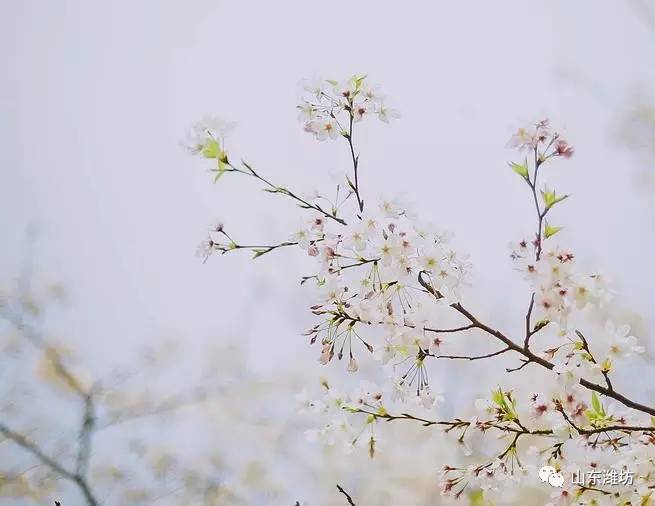 游人什么成语_成语故事图片(2)