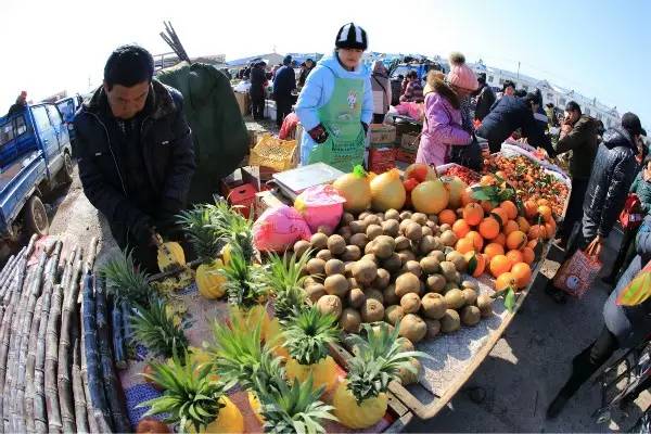 脍炙人口蚂蚁农场_脍炙人口图片(3)