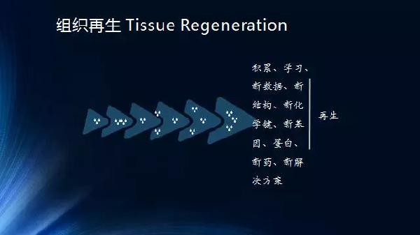 ppt演讲视频