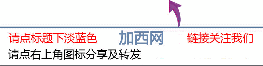 昨天周五怎么啦!高贵林三车惨烈相撞致3死含两儿童,素里7车相撞