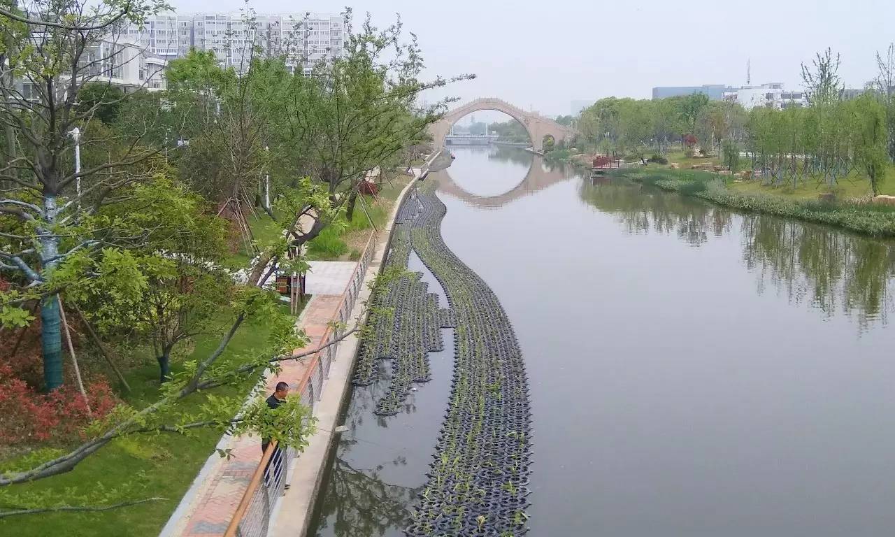 城建丨泰州凤凰河上漂起人工浮岛,这样的景观你可能是