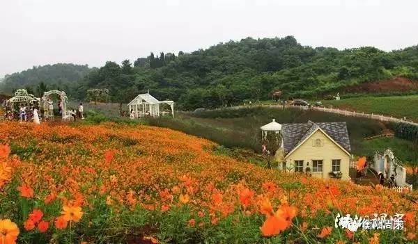 衡阳婚纱基地_湖南衡阳气象训练基地