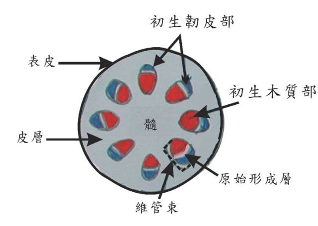 地球共有多少人口_夏朝有多少人口(3)