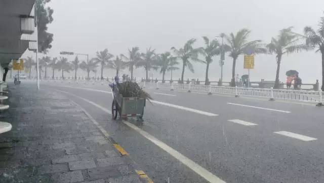 珠海外来人口_珠海外来流动人口占比排第三 流动人口社会融合蓝皮书 发布,从(2)