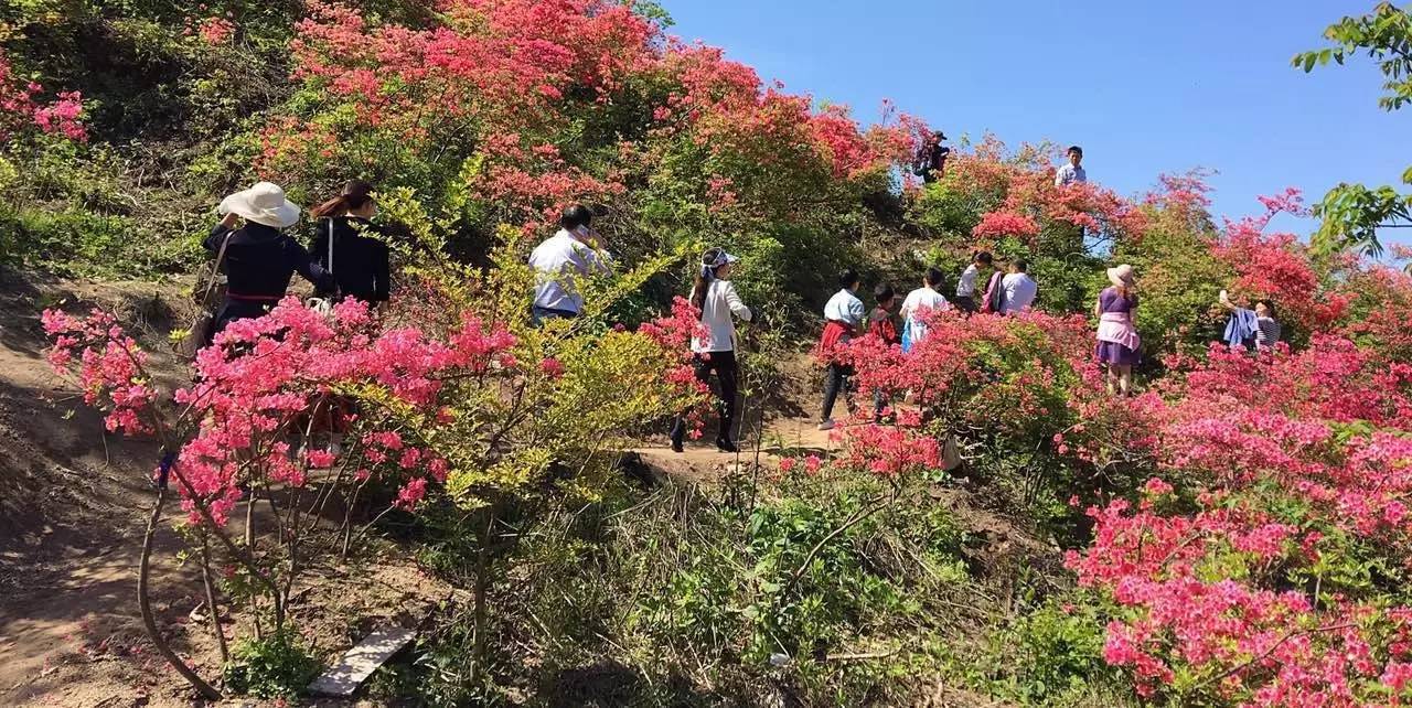 景区景点百花齐放全域旅游成效凸显