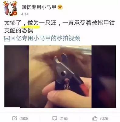 微博gdp是什么意思_gdp是什么意思通俗讲(3)