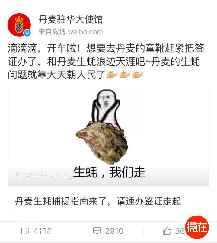 生蚝,象拔蚌我们走!限制级的大自然需要我们!