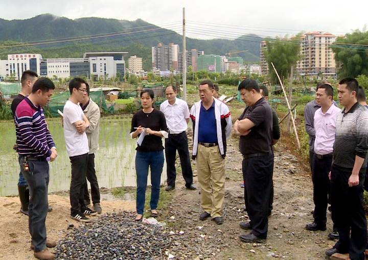 县委常委,常务副县长欧阳赞锋,县国土局及有关镇负责人等陪同检查验收