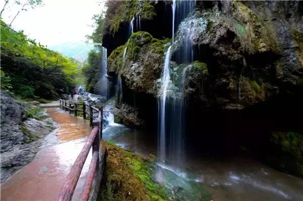 【旅游动态】乡村旅游好去处,卢氏绝对算一个!